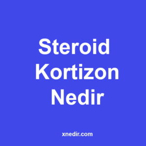 Steroid Kortizon